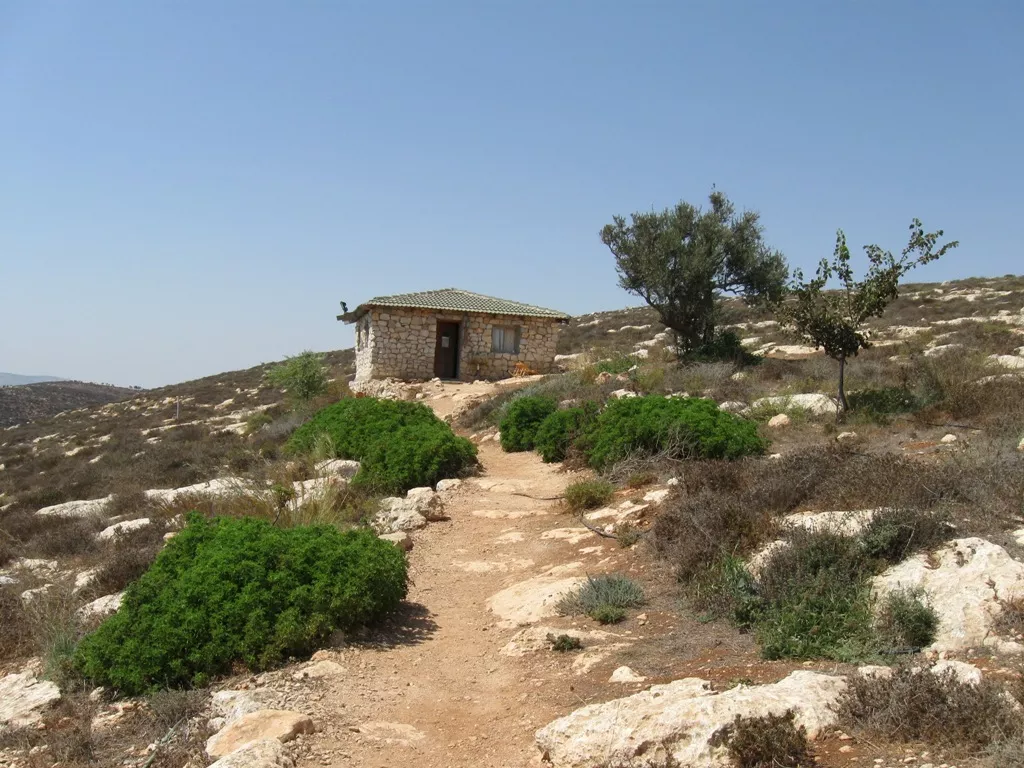 חוות סקאלי